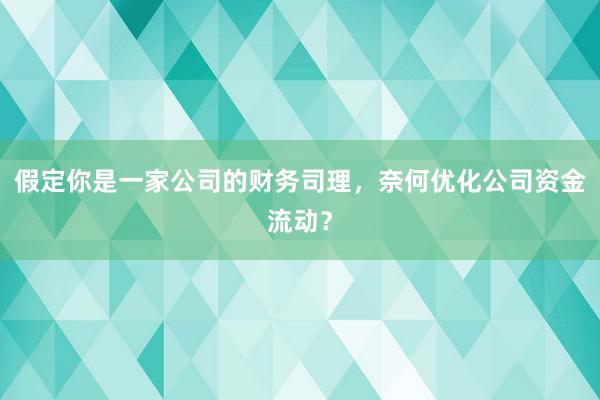 假定你是一家公司的财务司理，奈何优化公司资金流动？