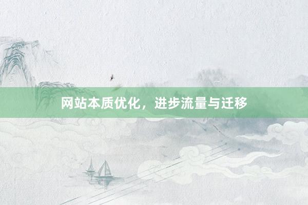 网站本质优化，进步流量与迁移